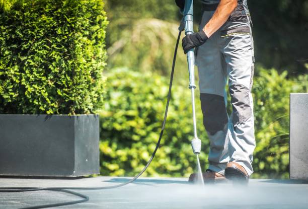 Best Driveway Pressure Washing  in Liberty City, TX